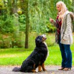 Welche Tricks kann man Hunden beibringen? Praktische Anleitungen und Tipps